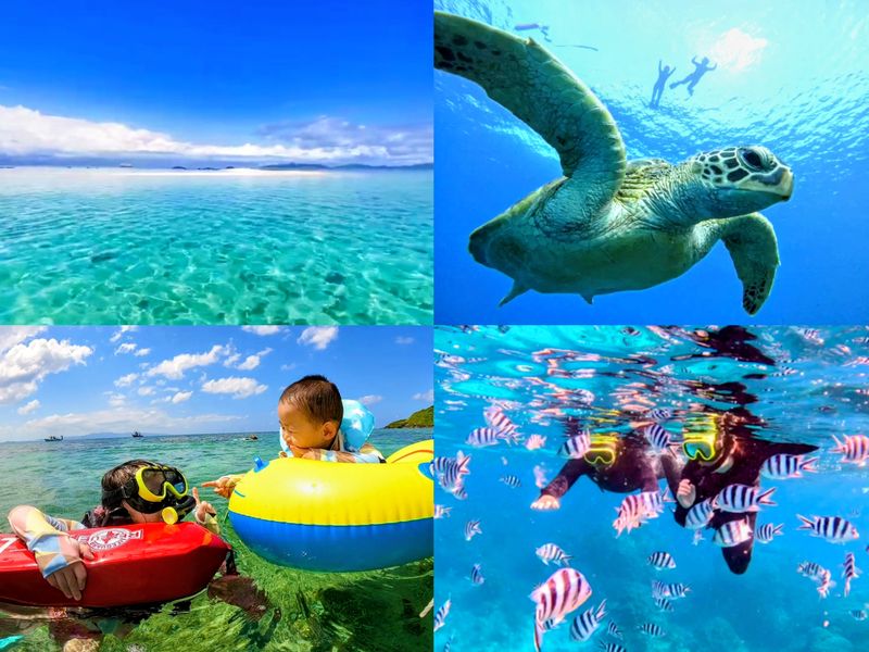 幻の島＋青の洞窟ツアー2