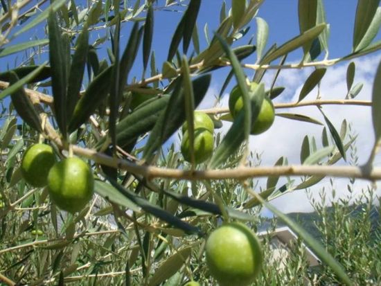 スクリーンショット 2026-04-01 123949