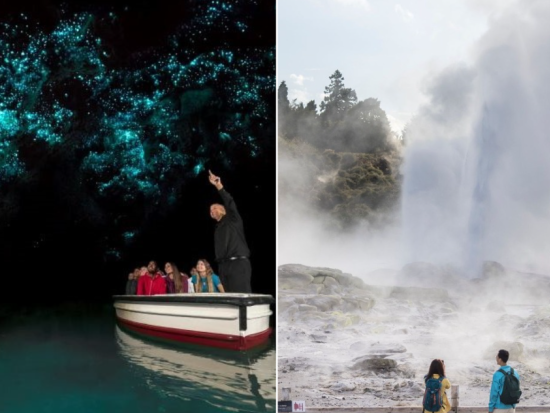 ワイトモ鍾乳洞＆ロトルア1日観光ツアー　世界8番目の不思議を体験＜日本語ガイド／オークランド発着＞