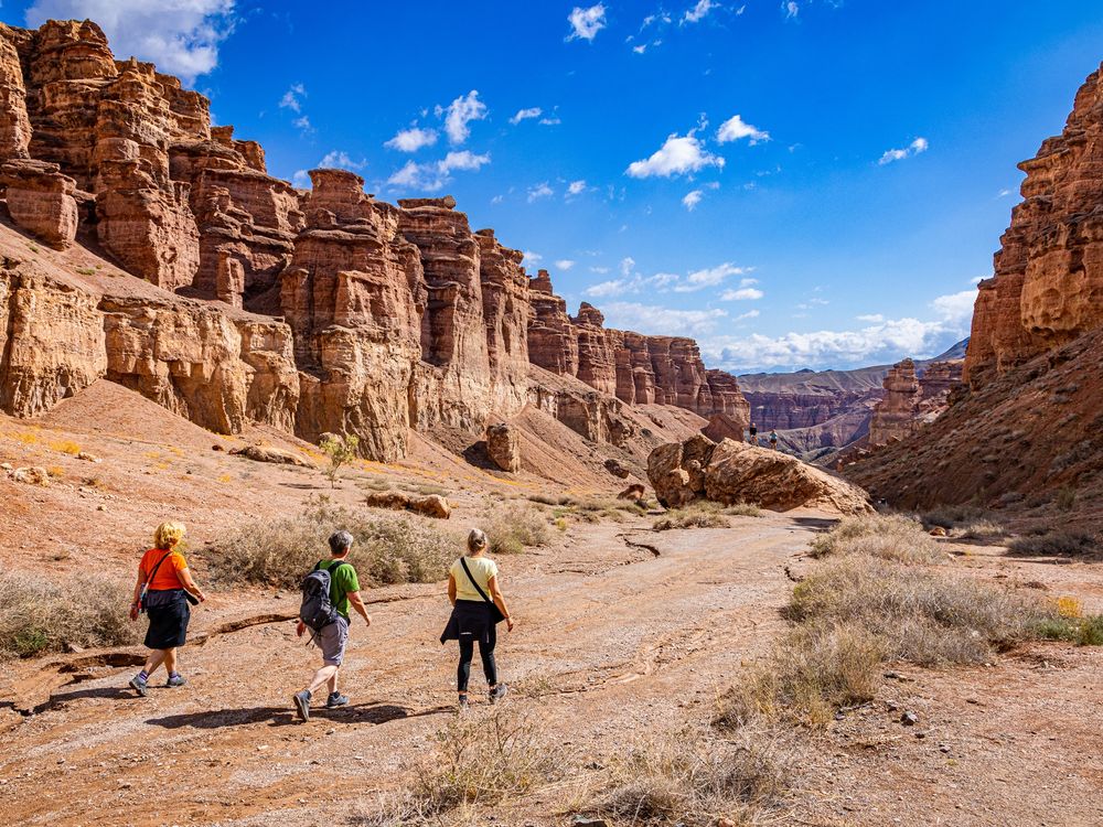 AdobeStock_1856859478