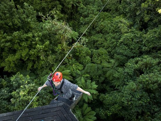 Rotorua-must-do-zipline