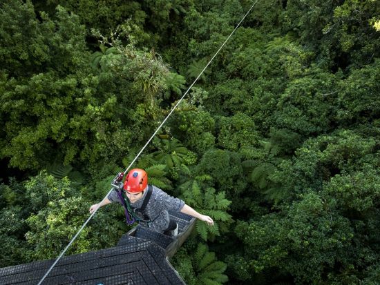 ロトルア ジップライン体験　最高時速50kmで爽快に大自然の中を駆け抜ける！送迎も選択可能＜英語/ロトルア＞