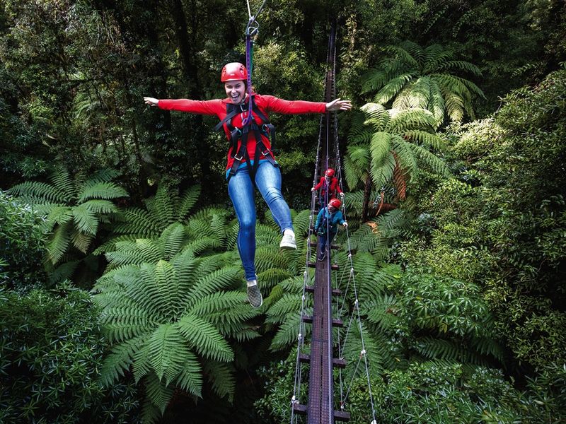 Zipline and suspended swing bridge on the Original Canopy Tour 