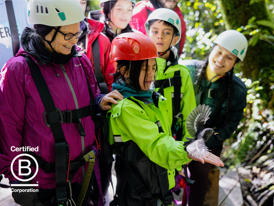 B Corporation company