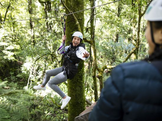 ロトルア 最上級ジップライン体験　全長400mのジップラインを最高時速80kmで爽快に駆け抜ける！送迎も選択可能＜英語／ロトルア＞