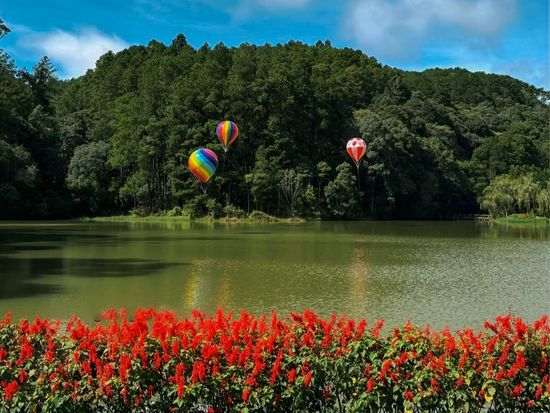 ダラット半日観光ツアー　隠れ家カフェと絶景スポット巡り ＜英語ガイド＞の写真5