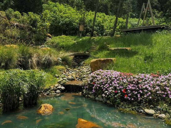 ダラット半日観光ツアー　隠れ家カフェと絶景スポット巡り ＜英語ガイド＞の写真3