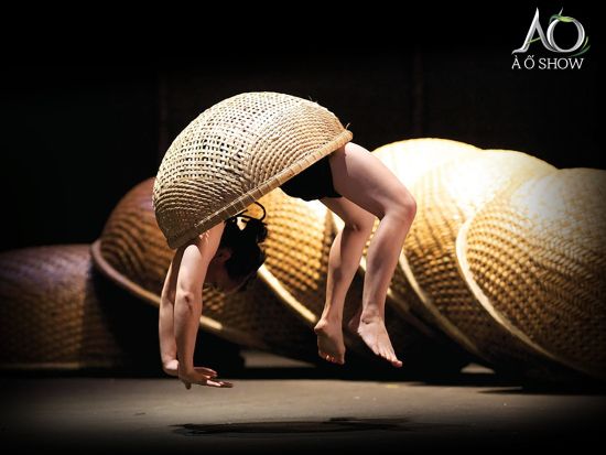 ホーチミン夜景満喫ツアー　「アオショー（A O Show）」鑑賞＆サイゴン川ディナークルーズ「サイゴンプリンセス号」 ＜夕食付き／日本語ガイド＞