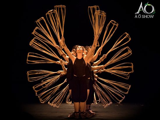 A-O-SHOW-6