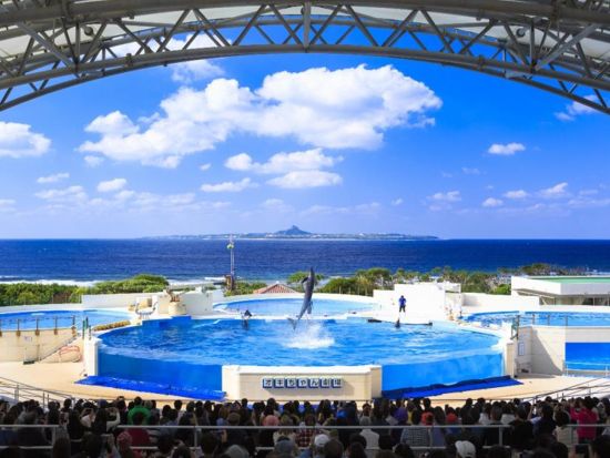 【7月4日限定】第48回海洋博公園花火大会日帰りバスツアー 沖縄観光と花火大会を一度に満喫！ ＜花火特別観覧席＆観光スポット入場券付き／日本語・中国語／那覇発＞