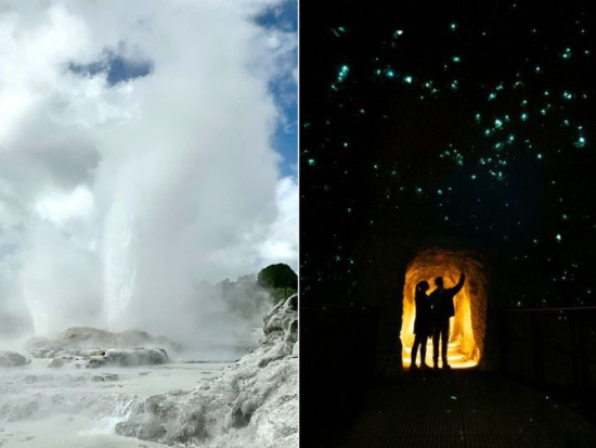 【洞窟の天の川×大地の神秘】ロトルアで土ボタル、国鳥キウイ、間欠泉を巡るNZ自然満喫ツアー＜日本語ガイド／オークランド発＞