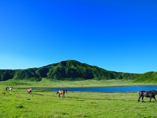 9f2c90384bd92284cf604aaae45d2d23