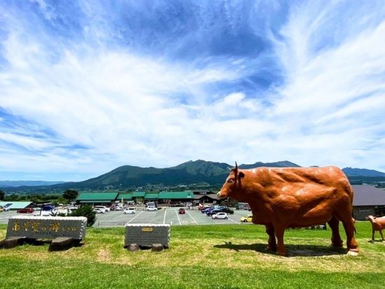 熊本発着日帰りバスツアー 阿蘇山＋高千穂峡＋天岩戸 定番観光地を1日で巡る！＜1日＞by KASSE JAPAN