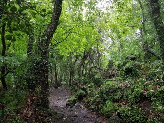 200014829_base_17743187899829