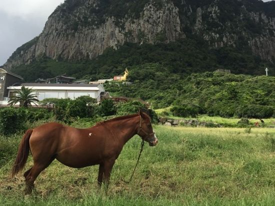 200014829_base_17743187892762