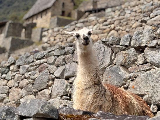 WhatsApp Image 2026-03-23 at 17.59.46