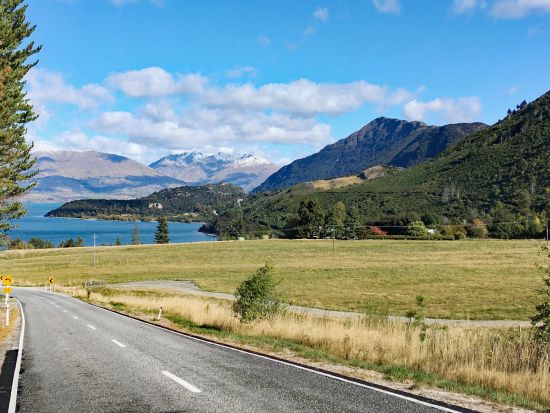 クイーンズタウン半日ハイキングツアー 南極ブナの原生林とゴールドラッシュの歴史を満喫！＜日本語ガイド／クイーンズタウン発着＞