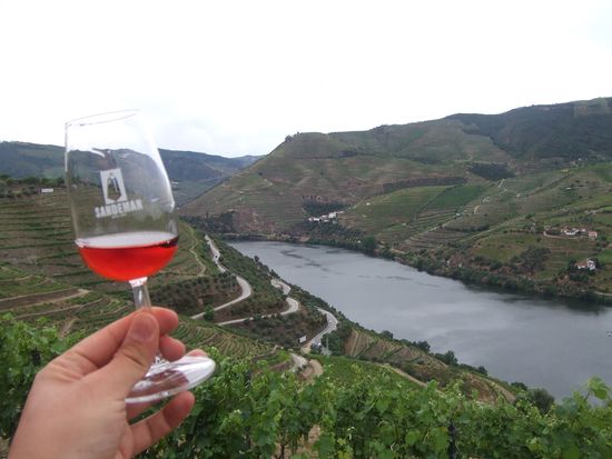 【8～9月限定】ポルトガル縦断2日間！6つのかわいい街歩き＋世界遺産ドウロ渓谷クルーズ＆名門ワイナリー訪問 ＜混載／日本語ガイド／リスボン発＞ by [みゅう]の写真3