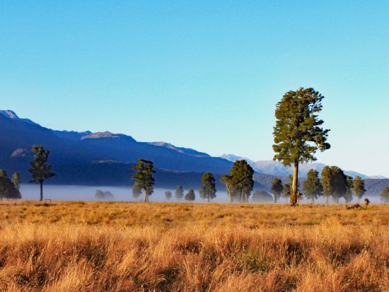 世界遺産ウェストランドの秘境と氷河を訪れる貸切チャーター クイーンズタウンorワナカ発クライストチャーチ着＜２泊３日／日本語ガイド＞