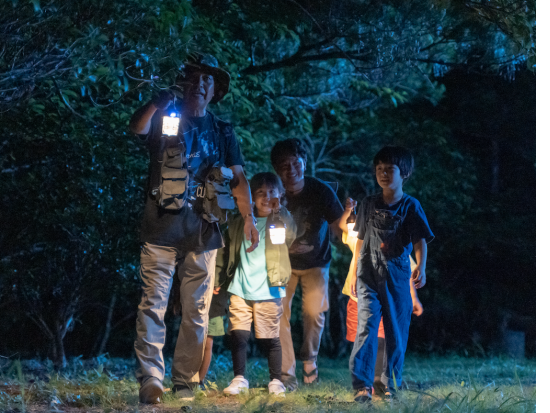 夜のやんばるの森探検ツアー ガイドがご案内する生き物観察 ＜約1時間30分／国頭村森林公園＞