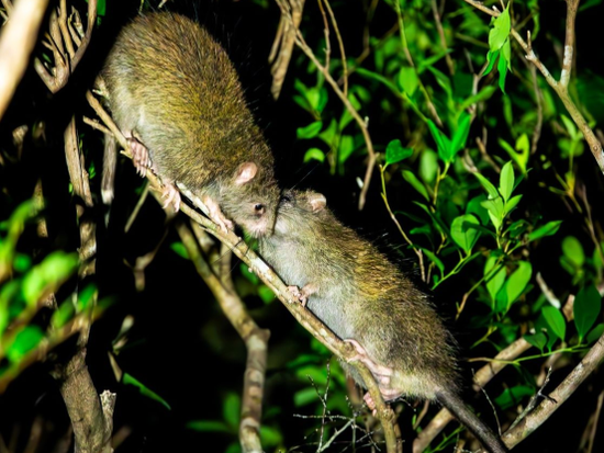 スクリーンショット 2026-04-06 12.08.34