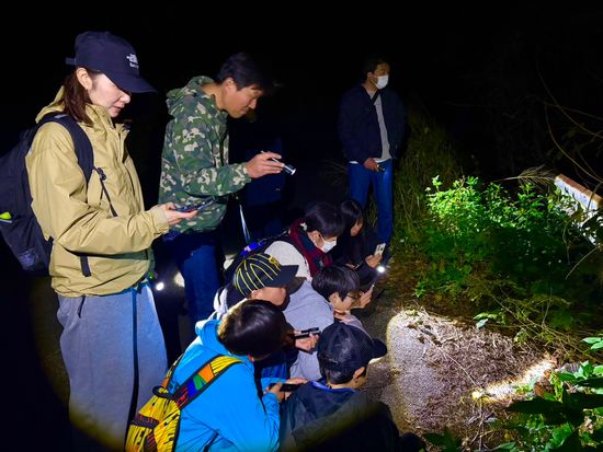 【宮古島ナイトツアー】アマゾン帰りガイドと行く夜のジャングル探検★写真無料＆当日予約OKの写真3