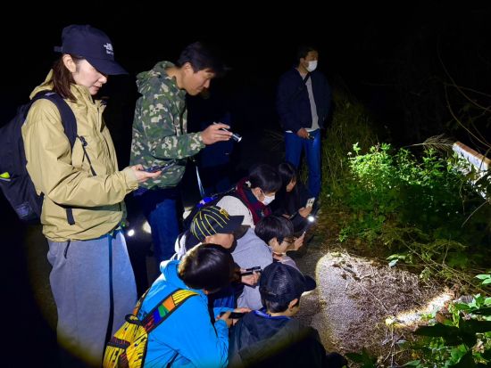 【宮古島ナイトツアー】アマゾン帰りガイドと行く夜のジャングル探検★写真無料＆当日予約OK