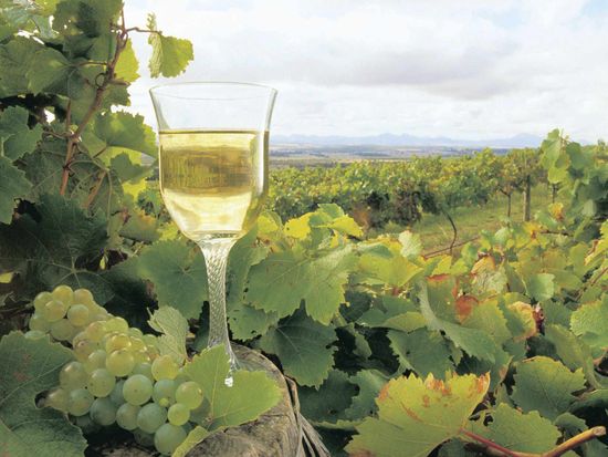 Winery_2
