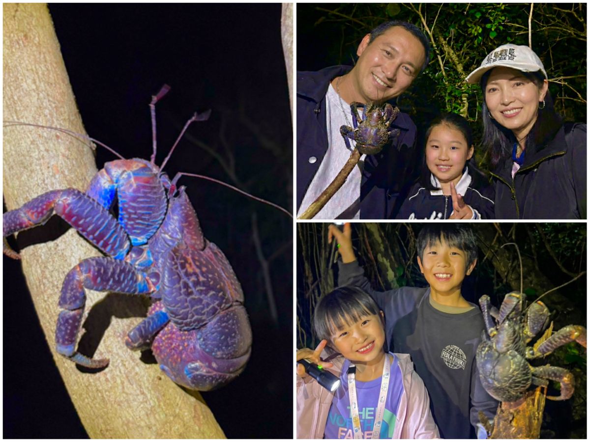 宮古島ナイトツアー】アマゾン帰りガイドと行く夜のジャングル探検