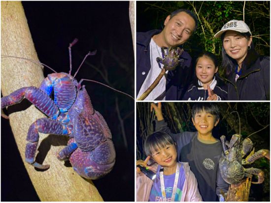 【宮古島ナイトツアー】アマゾン帰りガイドと行く夜のジャングル探検★写真無料＆当日予約OK