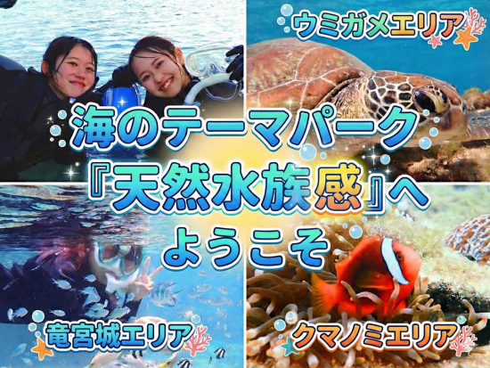 【那覇/糸満/送迎可】海のオールスター集結！専属プロガイド付き少人数シュノーケリング☆初心者でも安全に遊べて記憶に残る幸せな思い出作りへ☆＜約3時間／糸満＞