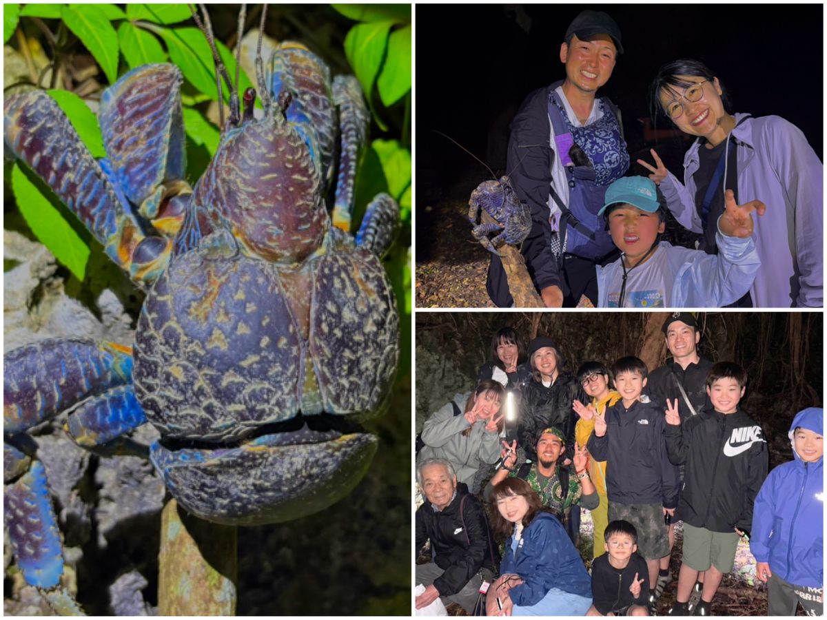 海亀兄弟 | 宮古島の観光・オプショナルツアー専門予約サイト VELTRA