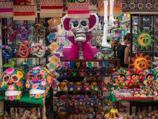 11月2日 死者の日の聖地「ミスキック」巡礼　美しい映画の世界へ！ソチミルコ＆シウダデラ市場＆ボート遊覧＜混載／日本語アシスタント／お土産付／メキシコシティ発＞