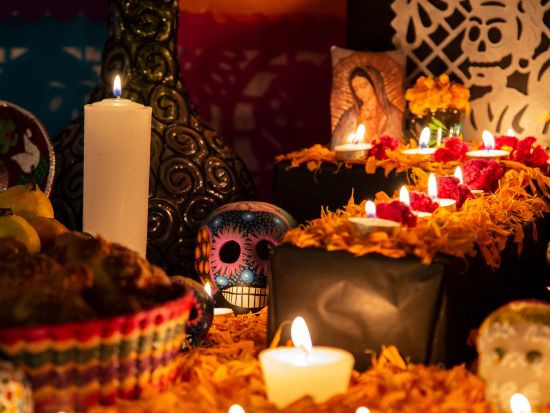 11月2日 死者の日の聖地「ミスキック」巡礼　美しい映画の世界へ！ソチミルコ＆シウダデラ市場＆ボート遊覧＜混載／日本語アシスタント／お土産付／メキシコシティ発＞