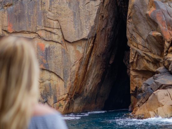 フレシネ国立公園海岸線クルーズツアー　美しい景色とイルカやアザラシなどの野生動物の観察を楽しめる ＜昼食付きプランあり＞