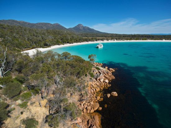 フレシネ国立公園海岸線クルーズツアー　美しい景色とイルカやアザラシなどの野生動物の観察を楽しめる ＜昼食付きプランあり＞