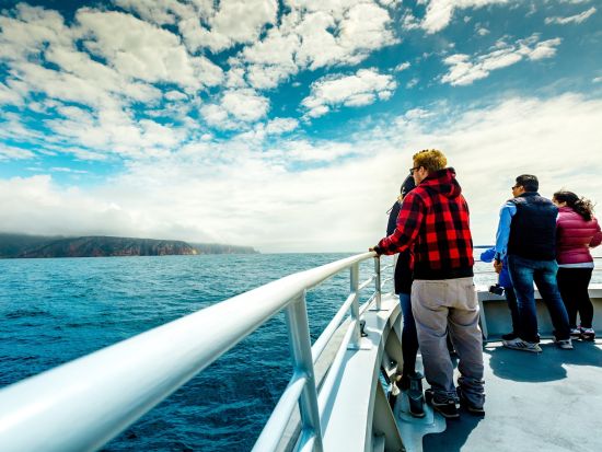 フレシネ国立公園海岸線クルーズツアー　美しい景色とイルカやアザラシなどの野生動物の観察を楽しめる ＜昼食付きプランあり＞