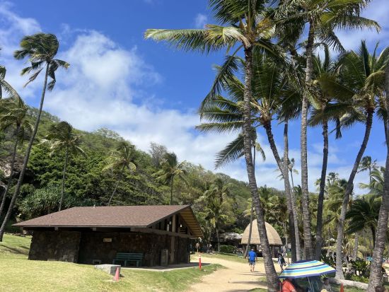 ハナウマ湾送迎ツアー　ハナウマ湾の入場料込み！＜英語ドライバー／ワイキキエリア送迎付き＞