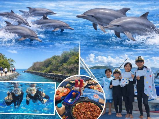 アガット湾イルカウォッチングクルーズ　エメラルドバレー観光＆シュノーケリング体験 ＜食事付き／日本語ガイド＞