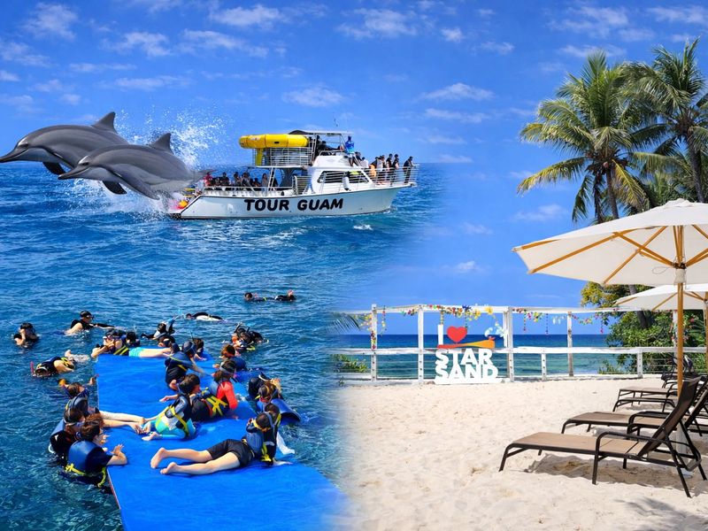 イルカスターセット