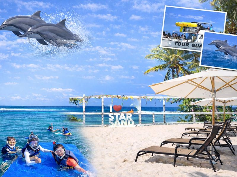 スターイルカセット