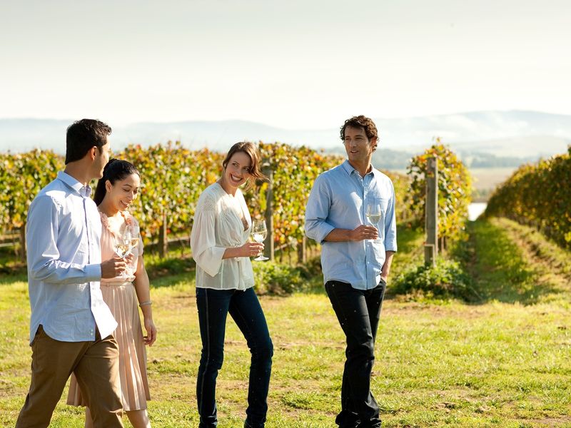 Autopia - Drinking wine amongst vineyards in the Yarra Valley, Robert Blackburn vv128118-56