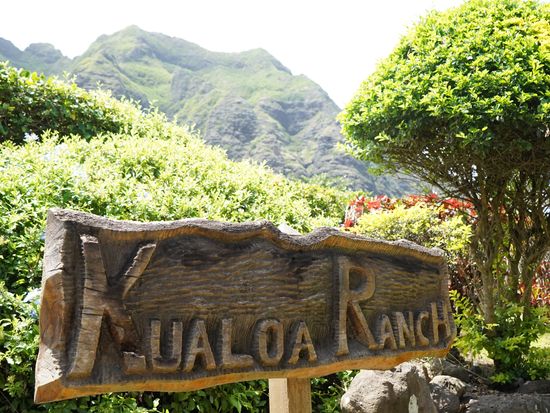 オアフ島1日周遊観光　パールハーバーやクアロアランチ、ハレイワタウンなど王道スポットを満喫！ガーリックシュリンプのランチ付き＜1日／日本語＞by H.I.S.の写真5