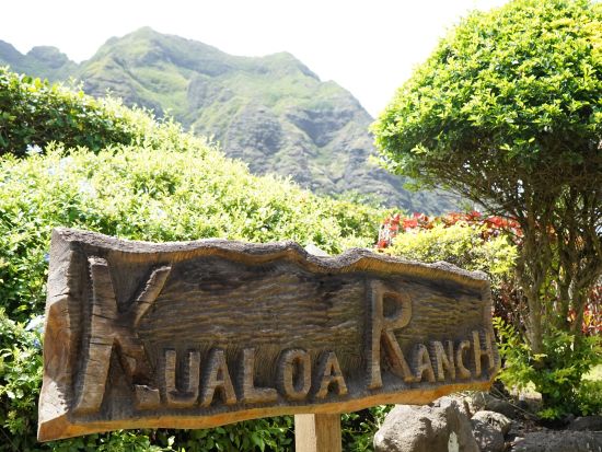 オアフ島1日周遊観光　パールハーバーやクアロアランチ、ハレイワタウンなど王道スポットを満喫！ガーリックシュリンプのランチ付き＜1日／日本語＞by H.I.S.