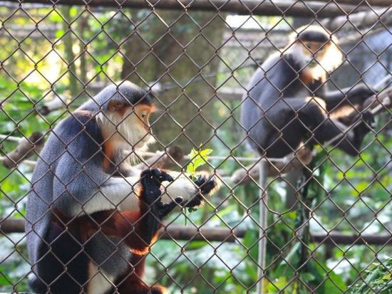 世界遺産巡りプライベートツアー　胡朝の城塞＋チャンアンまたはクックフォン国立公園 ＜昼食付き／日本語ガイド／ハノイ発着＞