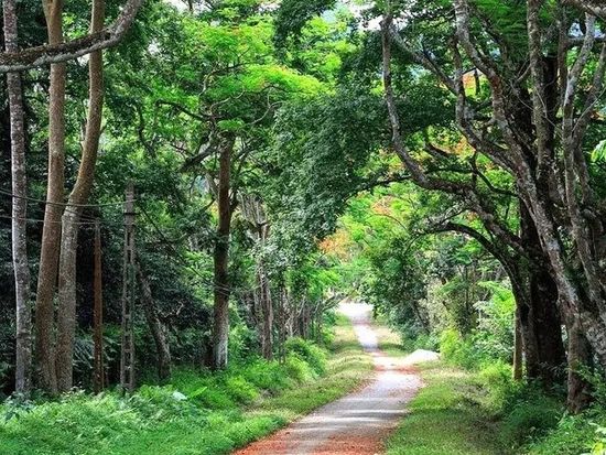 世界遺産巡りプライベートツアー　胡朝の城塞＋チャンアンまたはクックフォン国立公園 ＜昼食付き／日本語ガイド／ハノイ発着＞の写真3