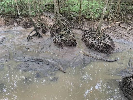 Tr00100420240917184610845