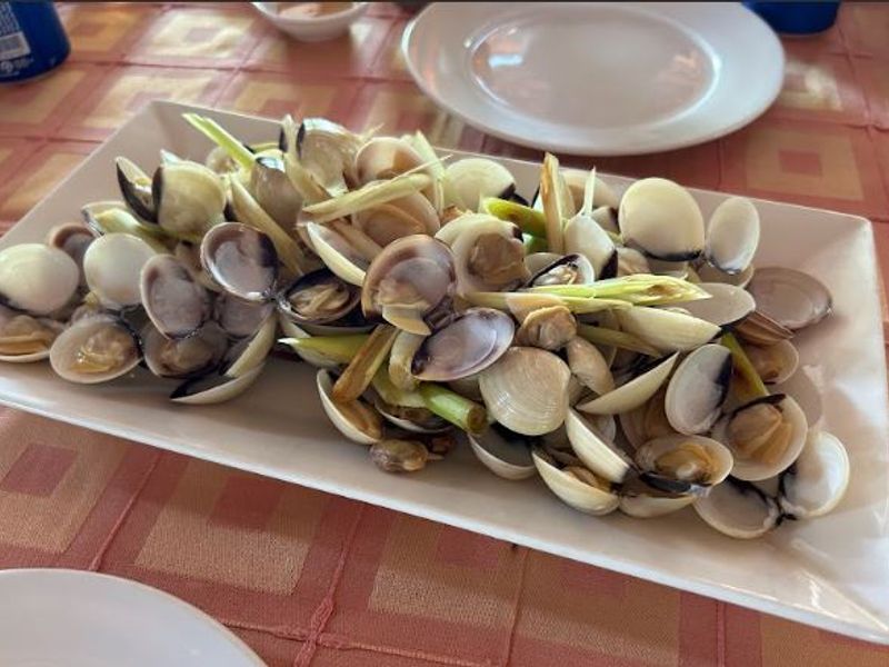 Tr00100420240917184625650