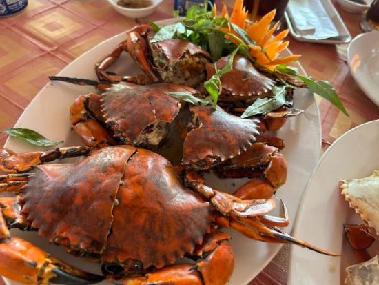 【ユネスコ保護区を訪問】マングローブの森探検とクルーズ体験　＜日本語ガイド＆昼食付き＞