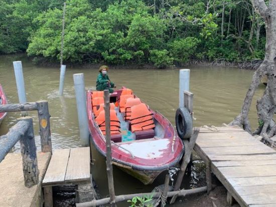【ユネスコ保護区を訪問】マングローブの森探検とクルーズ体験　＜日本語ガイド＆昼食付き＞